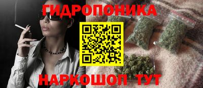PSILOCYBIN Кинель