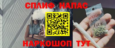 PSILOCYBIN Кинель