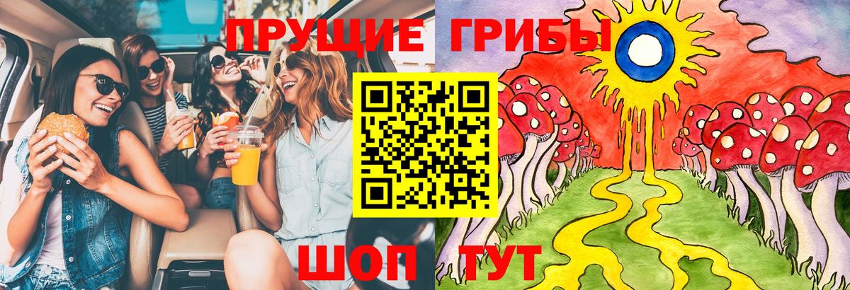 Псилоцибиновые грибы Psilocybe Кимовск