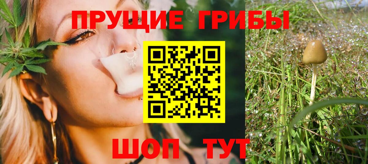 Кимовск  Галлюциногенные грибы Magic Shrooms  Вход с VPN  Галлюциногенные грибы ЛСД 