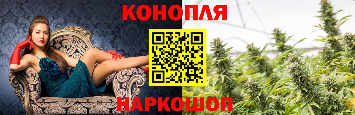 Бошки марихуана White Widow  МАРИХУАНА конопля  Конопля тримм  Кимовск  Каннабис Ganja  Вход с VPN 